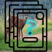 Deer Memory Match